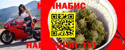 трава Новодвинск